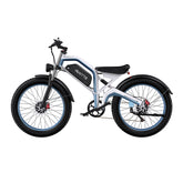 DUOTTS N26 Upgraded Electric Cargo Bike